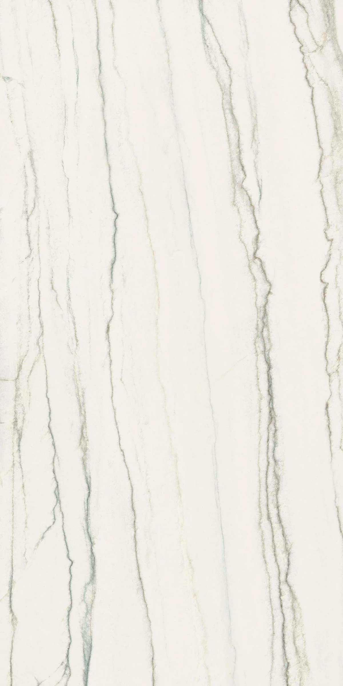 Ava ceramica Marmi White Macauba 60x120 cm